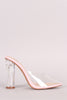 Transparent Pointy Toe Chunky Perspex Heel Mule Pump